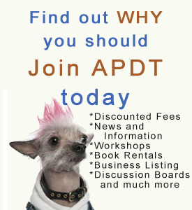 join apdt today