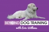 logo-with-purple-background