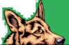 DogSolutions-logo