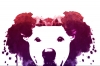FB_profile_lowres
