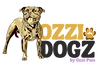 logo-singo-3