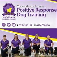 positive_dog_training_pj_box