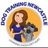 dtn-logo-100
